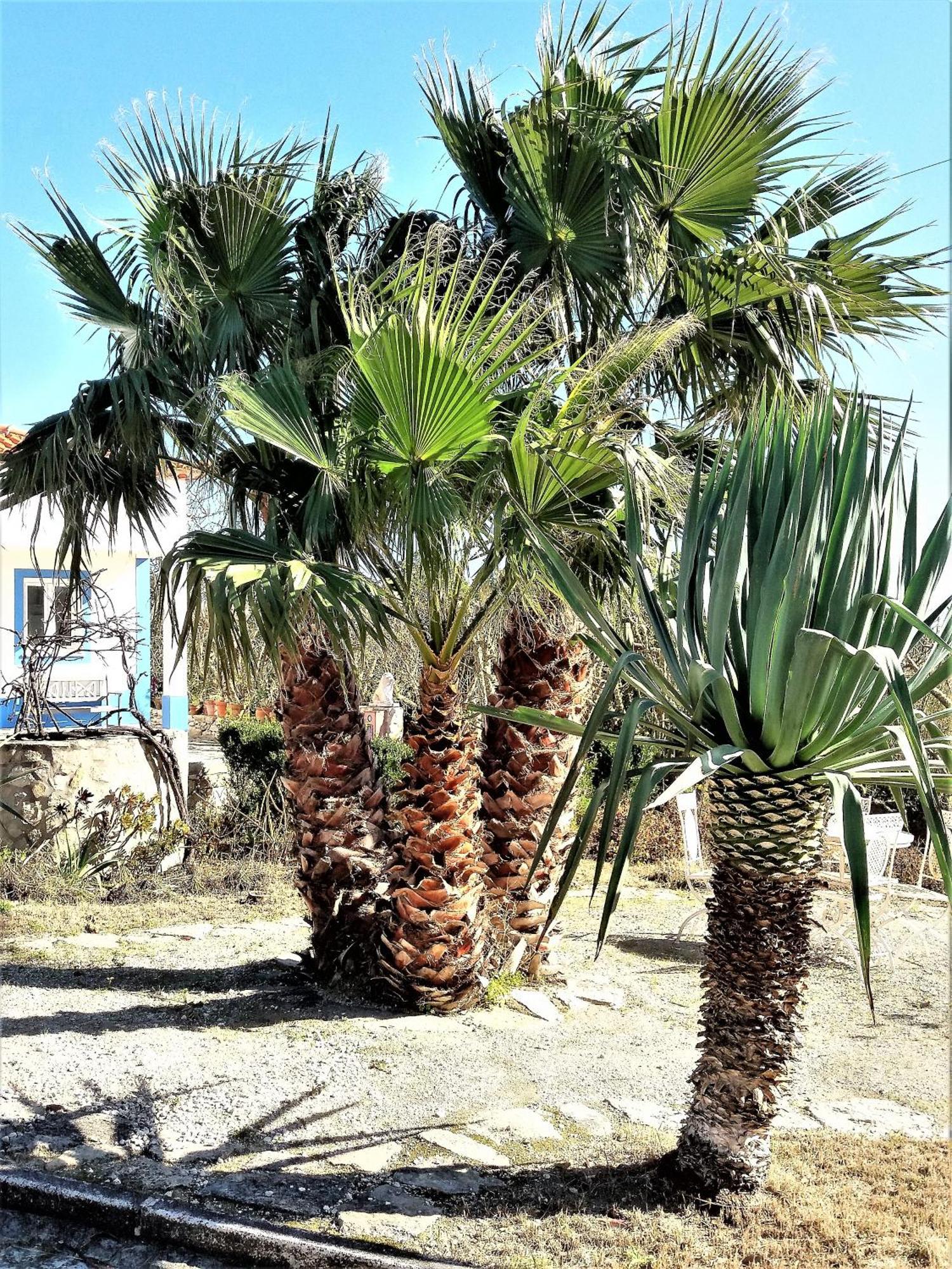 Vila Agua Rocha Serra de Mangues Pokoj fotografie